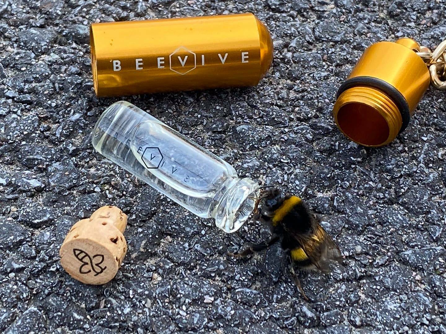 Bee Revival Keyring & Seed Kit