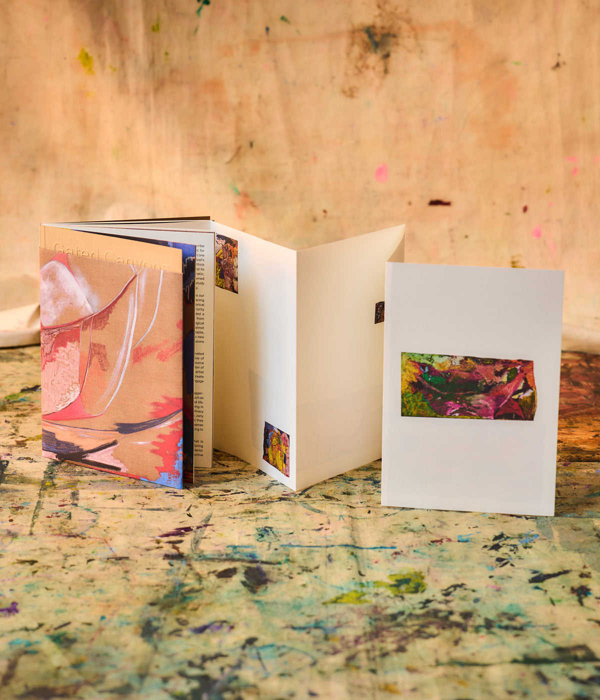 Rachel Jones Exhibition Companion Catalogue