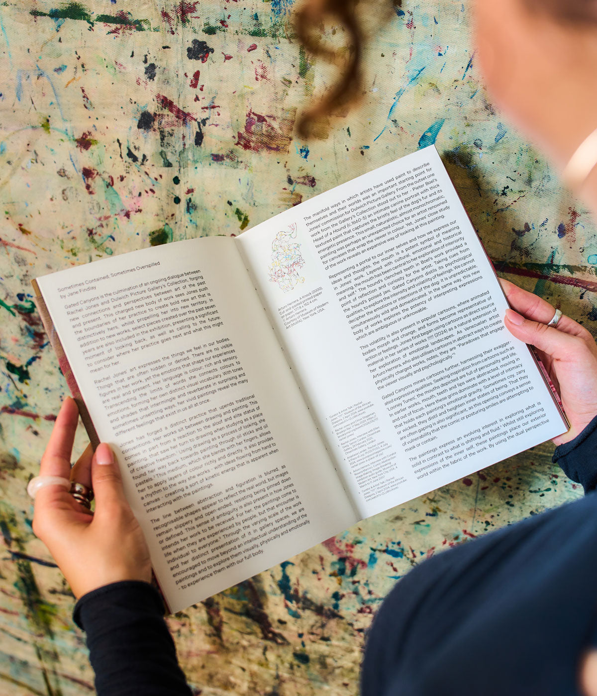 Rachel Jones Exhibition Companion Catalogue