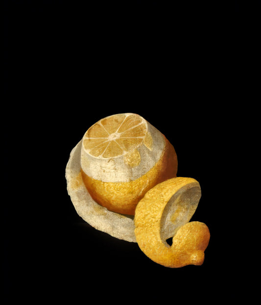 Lemon Ltd Edition Print by Rob and Nick Carter