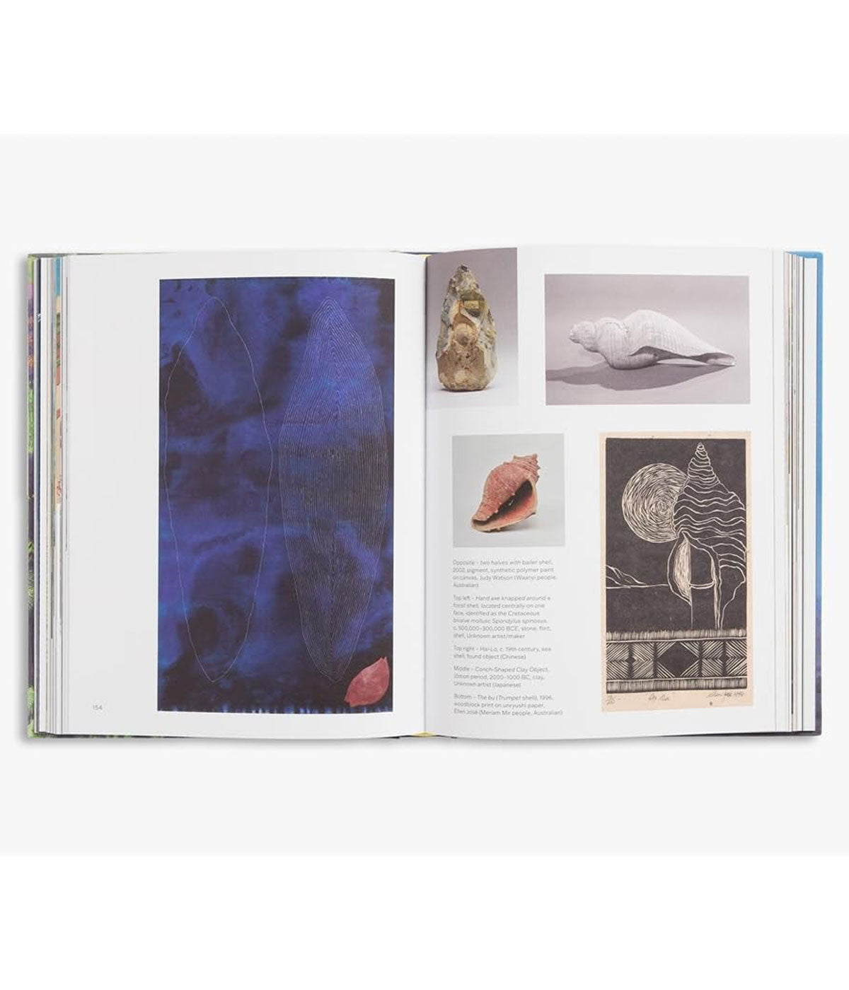 Slow Looking: The Art of Nature