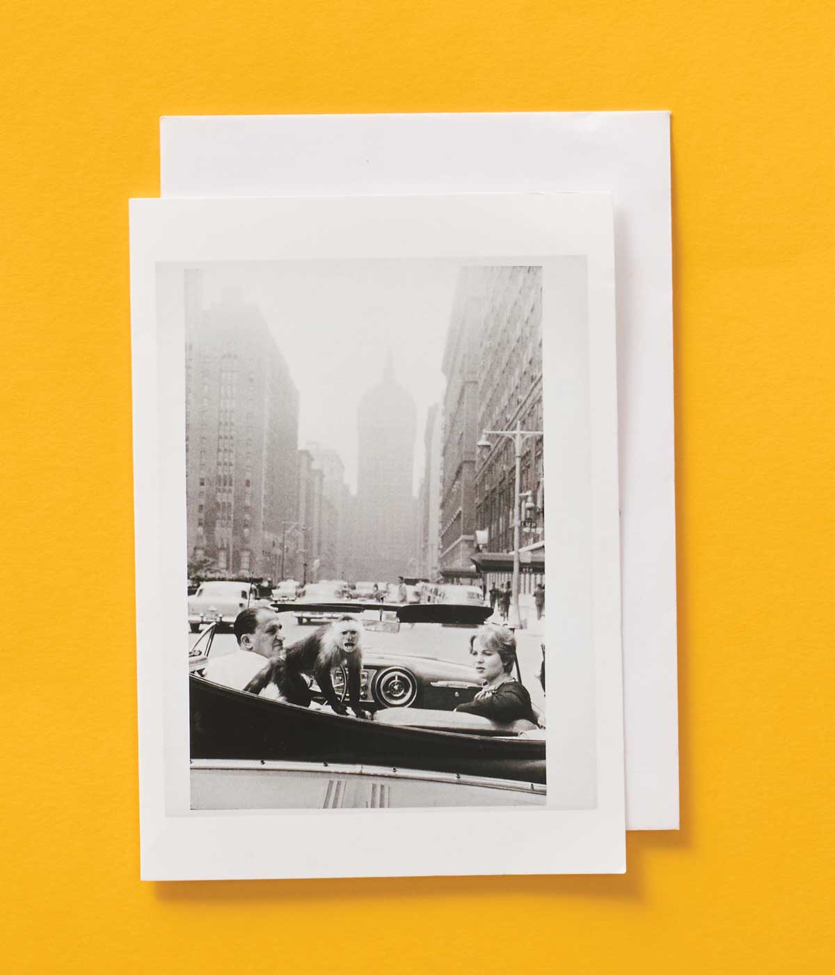 Garry Winogrand Greetings Card Park Avenue, New York