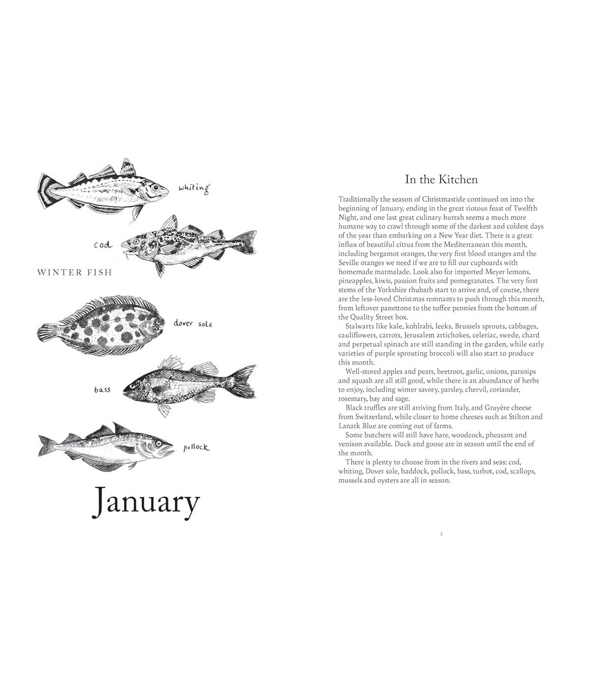 A Year of Feasting & Festivities: A Celebration of the Seasons