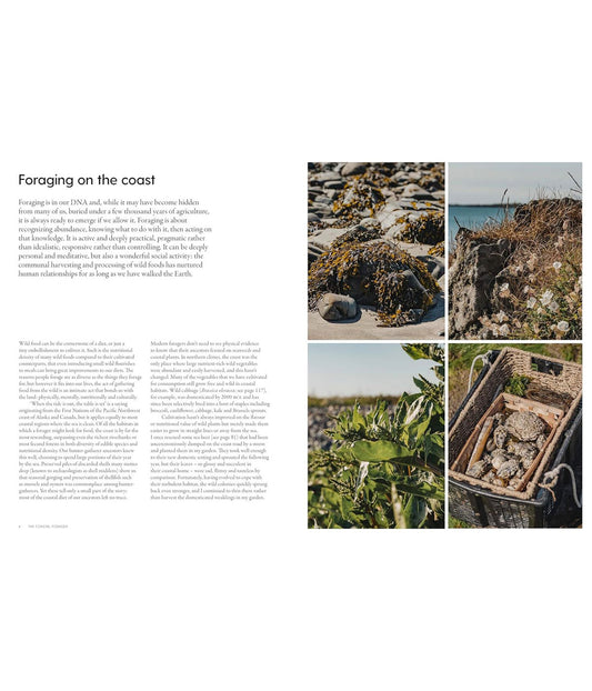 The Coastal Forager