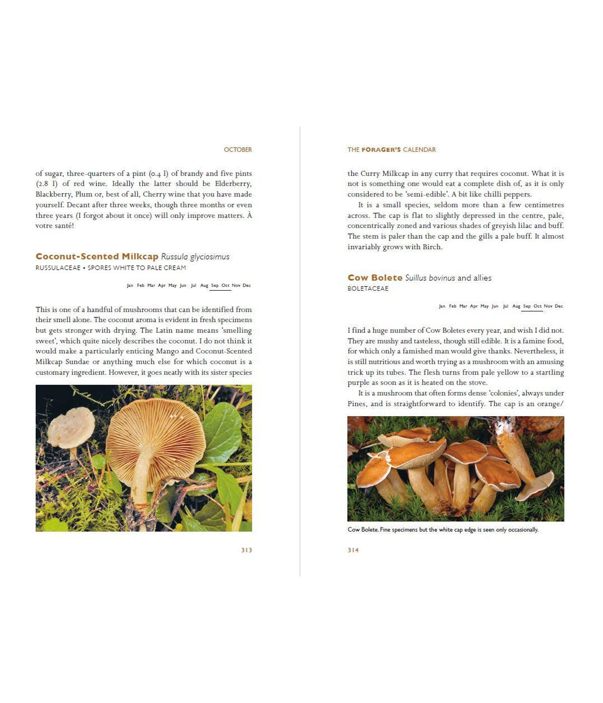 The Forager's Calendar: A Seasonal Guide to Nature