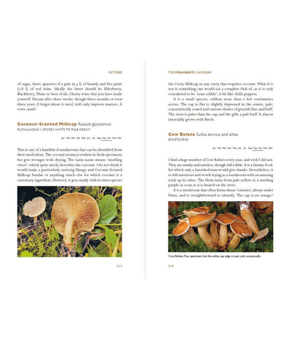 The Forager's Calendar: A Seasonal Guide to Nature