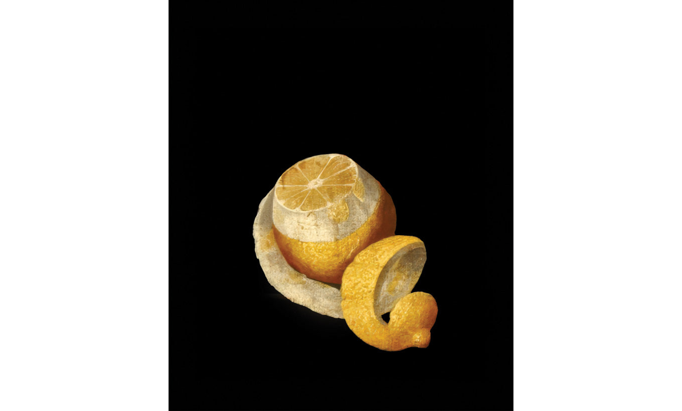 Lemon Ltd Edition Print by Rob and Nick Carter