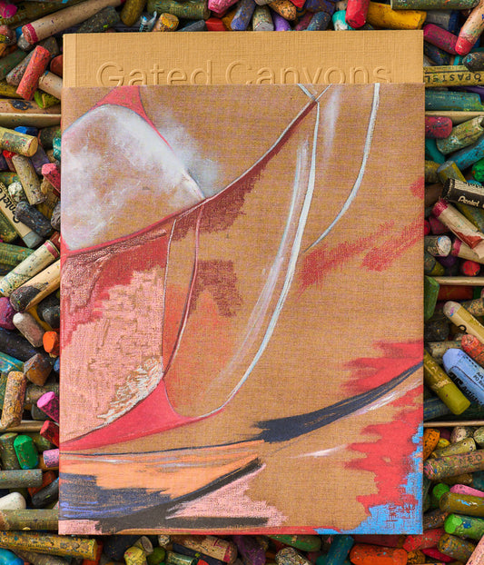 Rachel Jones Exhibition Companion Catalogue
