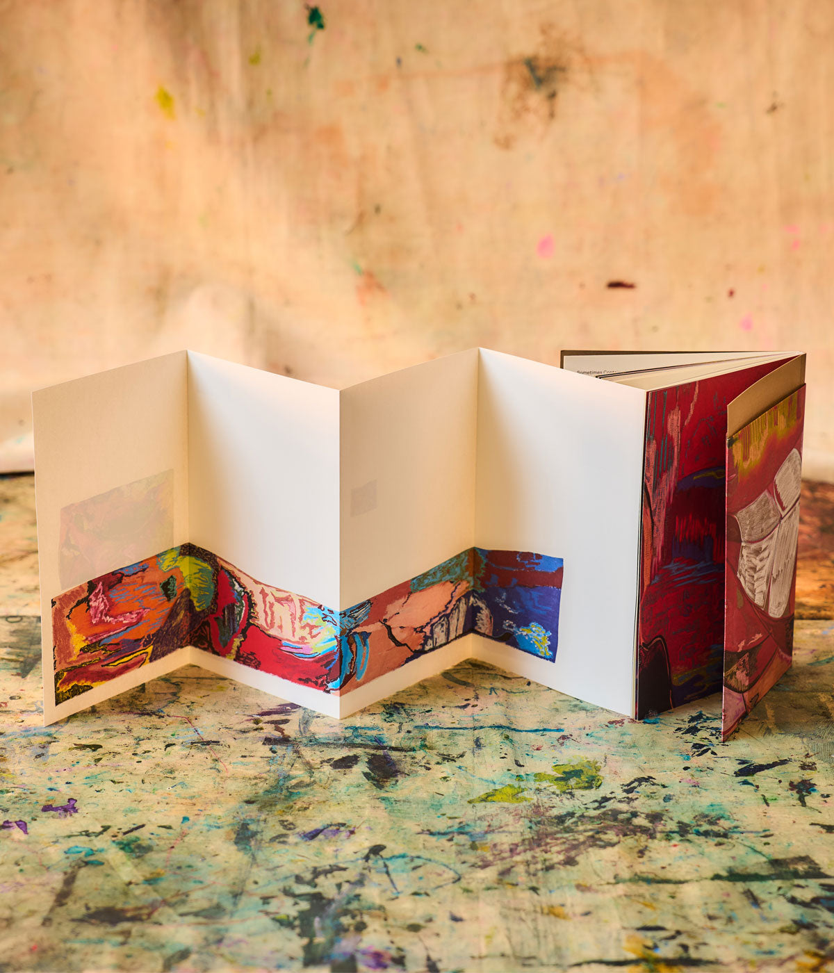 Rachel Jones Exhibition Companion Catalogue