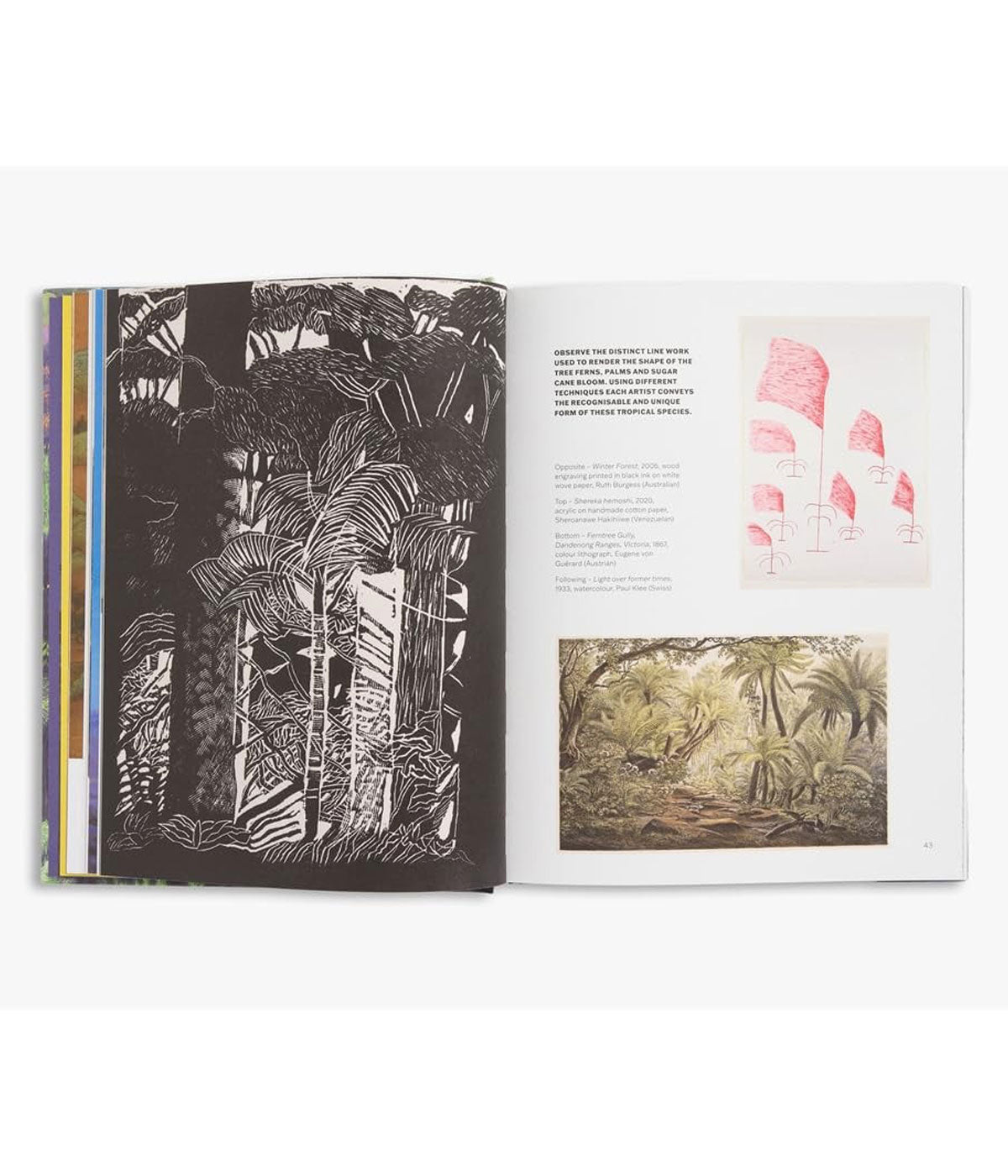 Slow Looking: The Art of Nature