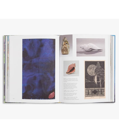 Slow Looking: The Art of Nature