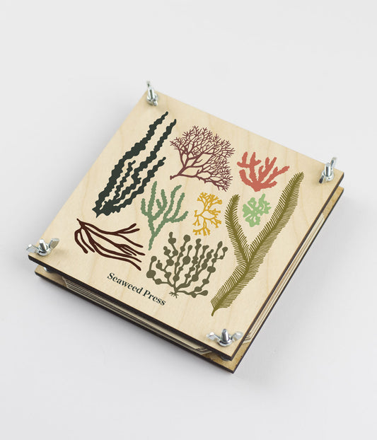 Seaweed Press Kit