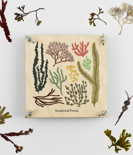 Seaweed Press Kit