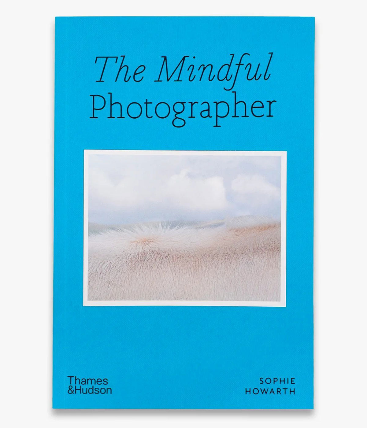 The Mindful Photographer