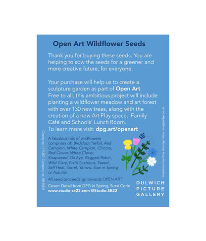 Open Art Wildflower Seeds