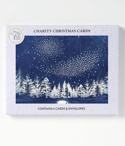 Watson The Starry Messenger Christmas Card Pack of 6